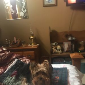 Meet your Posher, Darla